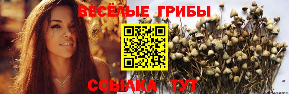 Галлюциногенные грибы Psilocybe Орёл